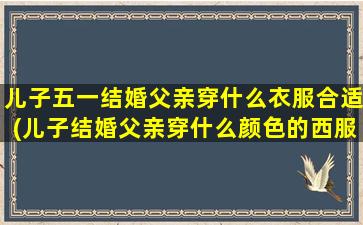 儿子五一结婚父亲穿什么衣服合适(儿子结婚父亲穿什么颜色的西服比较 🌲 好)